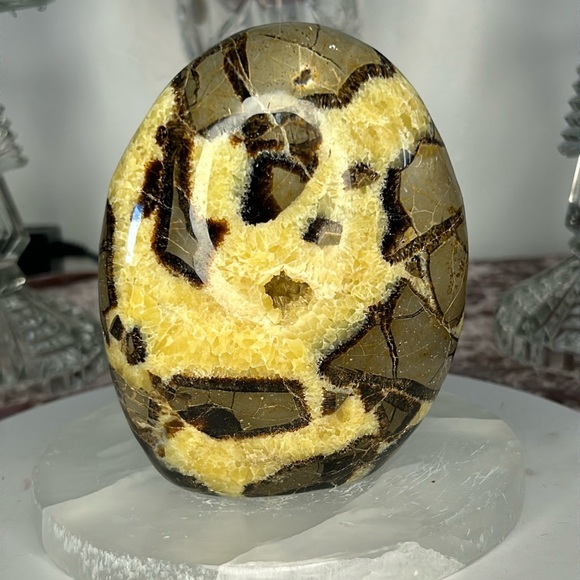 Septarium Freeform - SF01 - Picture 5 of 5